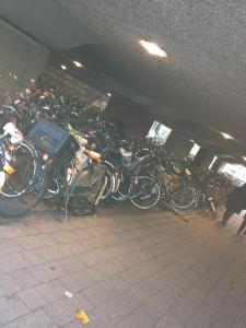 376977_10150991678055192_431197394_n