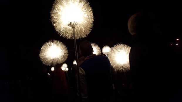 The Giant Dandelions